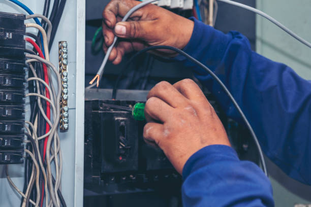 Best Ceiling Fan Installation Electrician  in Dekal, IL